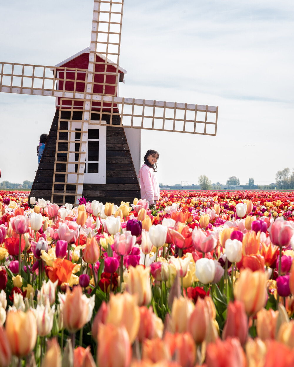 Tulip Experience