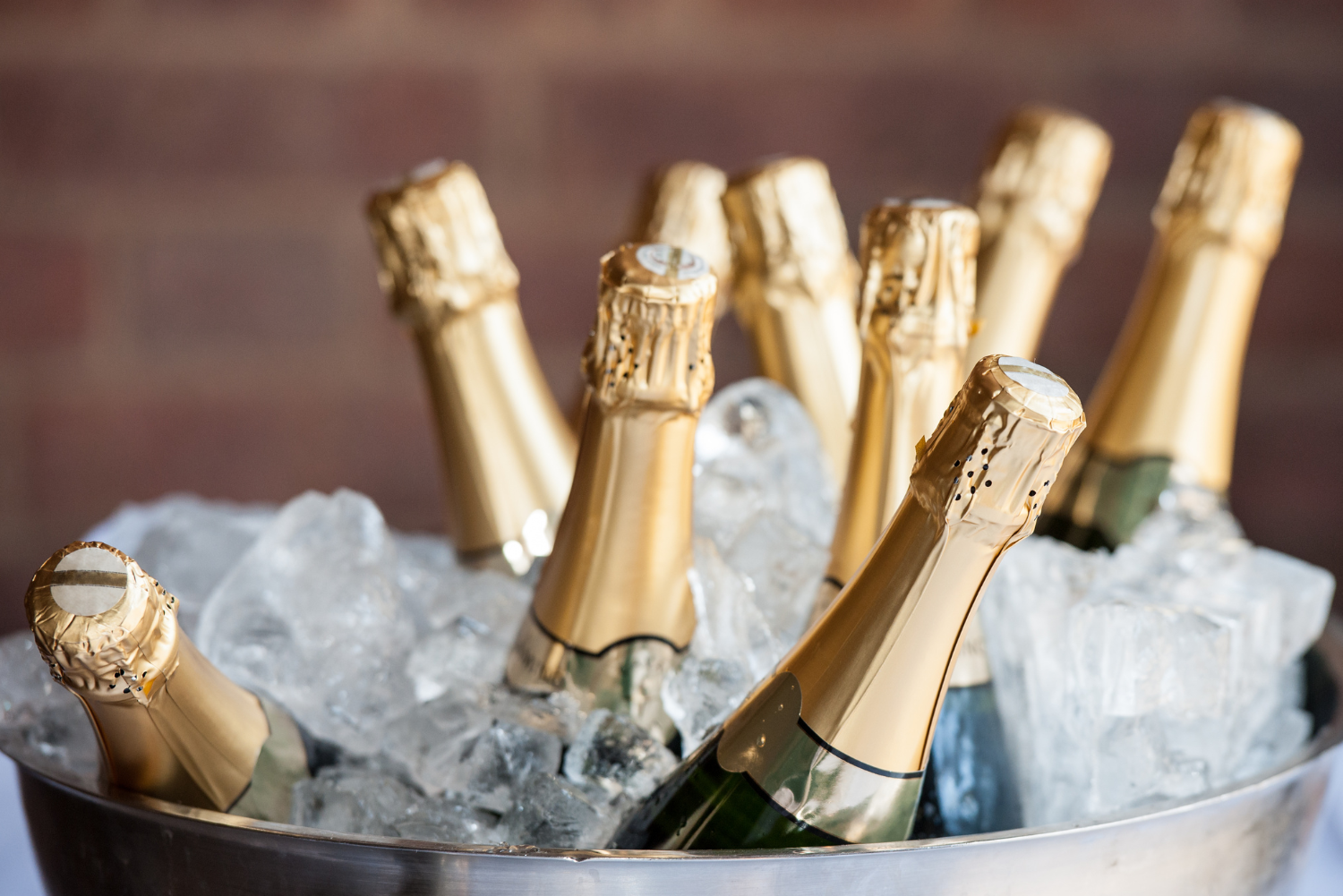 champagnefestival amsterdam