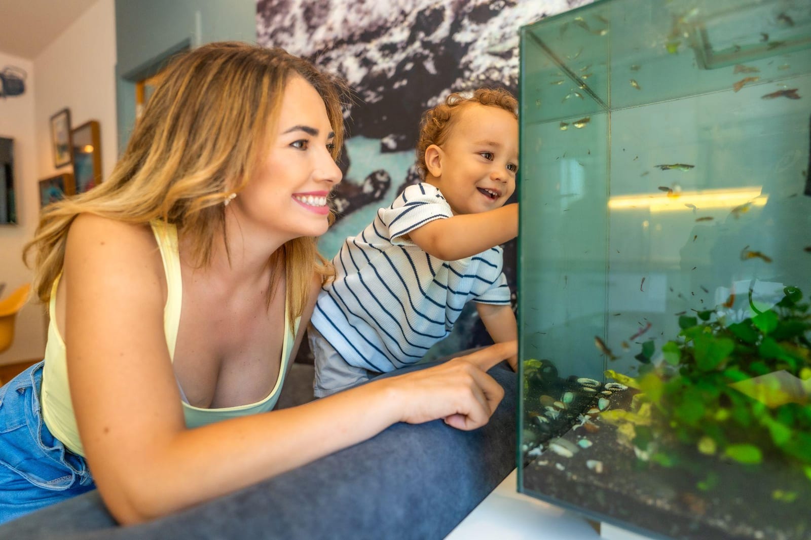 Een aquarium in een Amsterdams appartement en waar je op let bij weinig ruimte