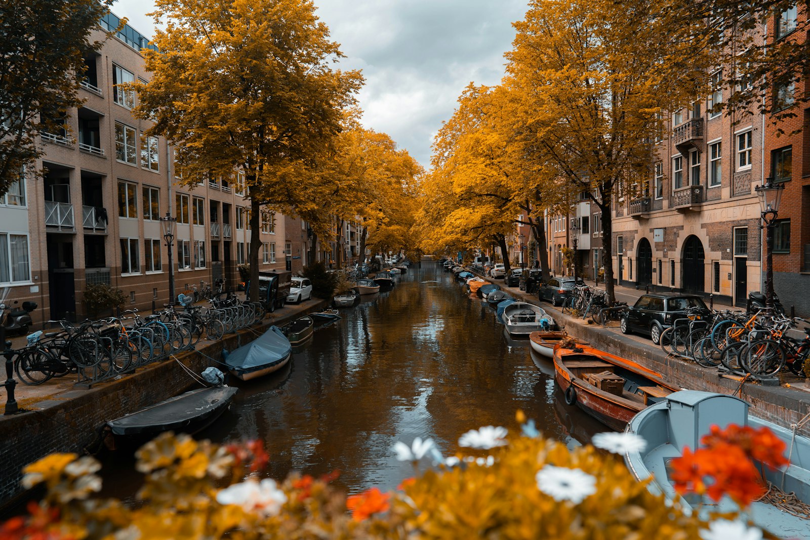 Amsterdamse gracht met bomen in herfstkleuren